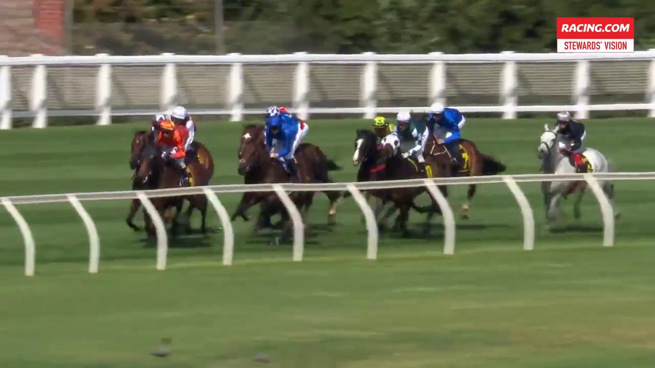 Moonee Valley Race 08Stewards Vision261019