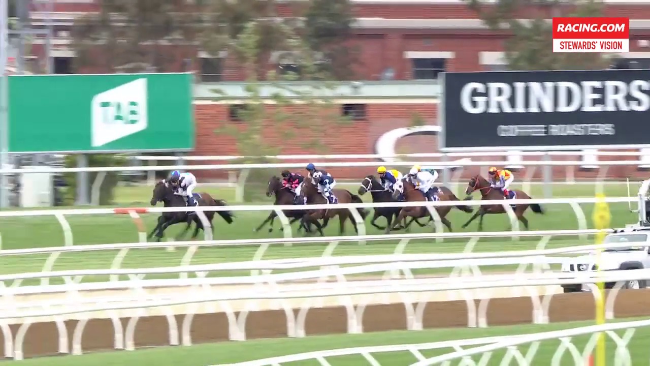 Flemington Race 02Stewards Vision091119