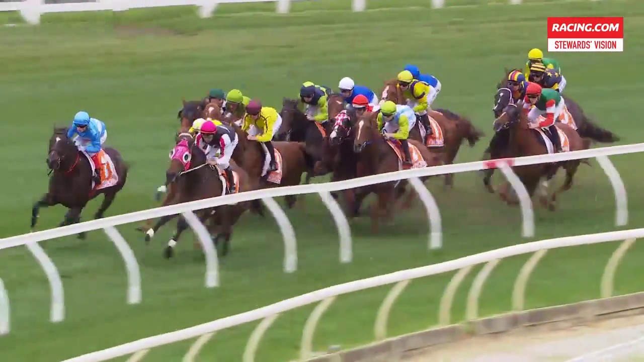 Eduardo Race Horse Profile Racing Com