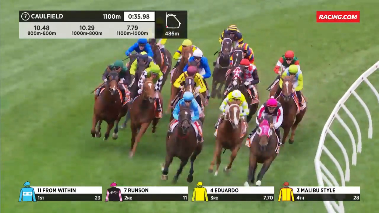 Eduardo Race Horse Profile Racing Com