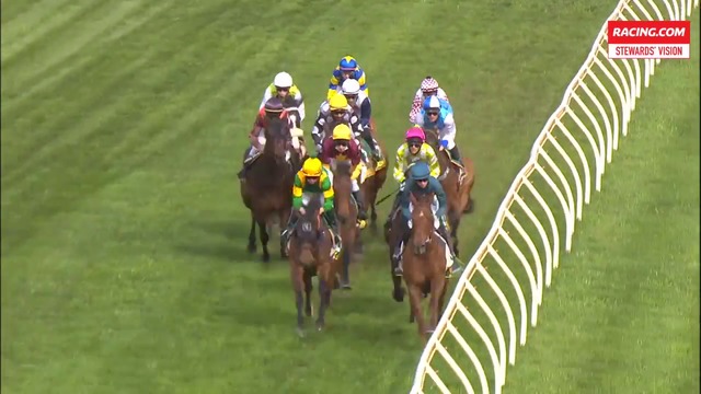 Miss Sarasota Race Horse Profile Racing Com