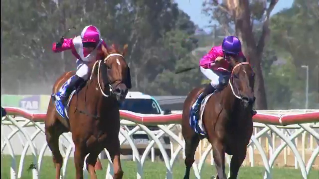 WANGARATTA RACE 6 WAYNE NICHOLS 170121
