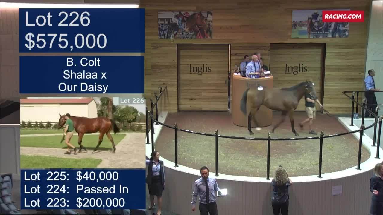 Inglis 2021 Melbourne Premier Yearling Sale Highlights