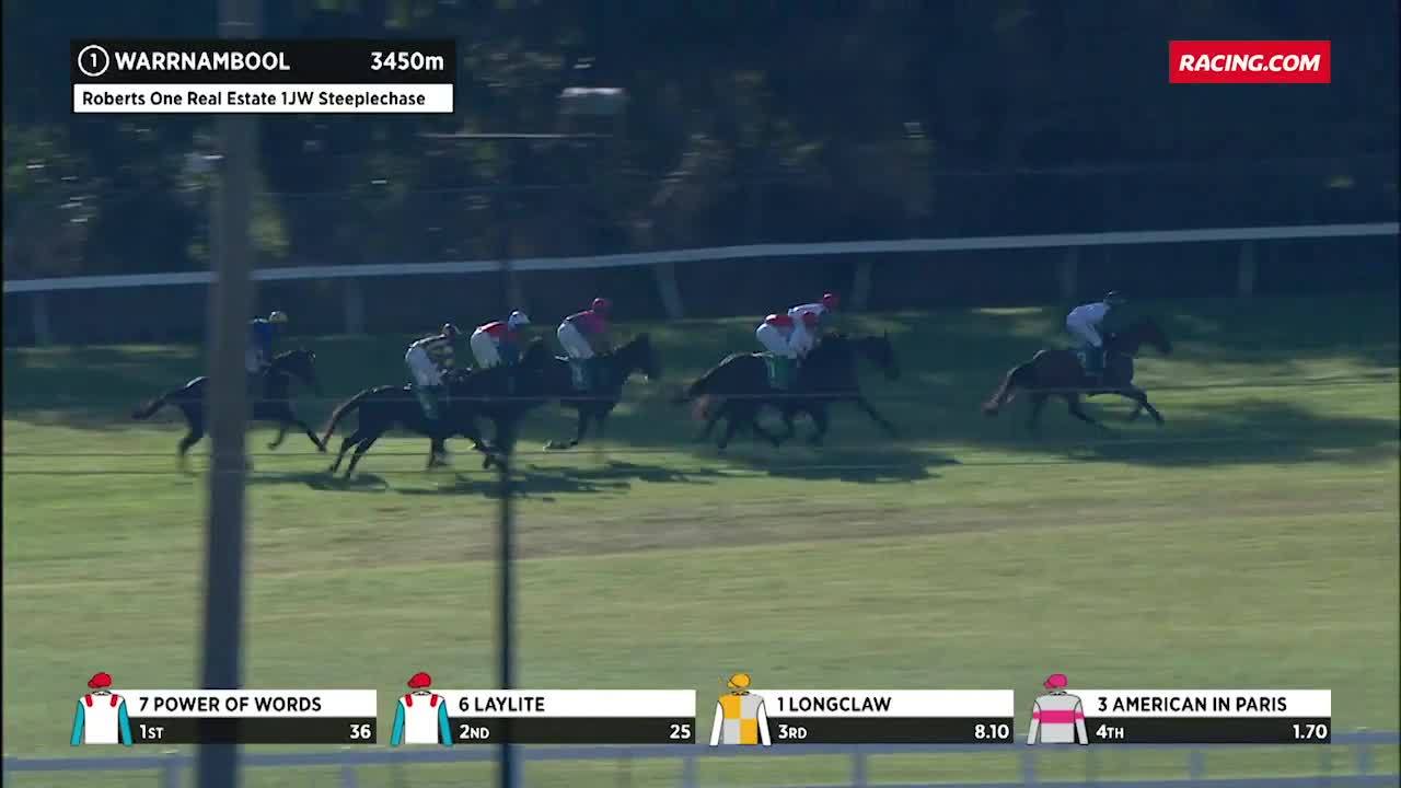 American In Paris Race Horse Profile Racing Com