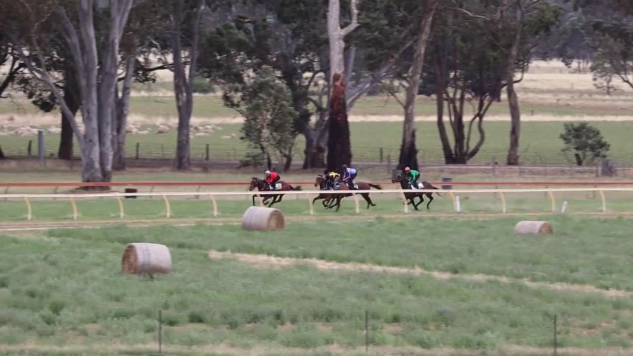 Avoca Jump Out 19 03022022
