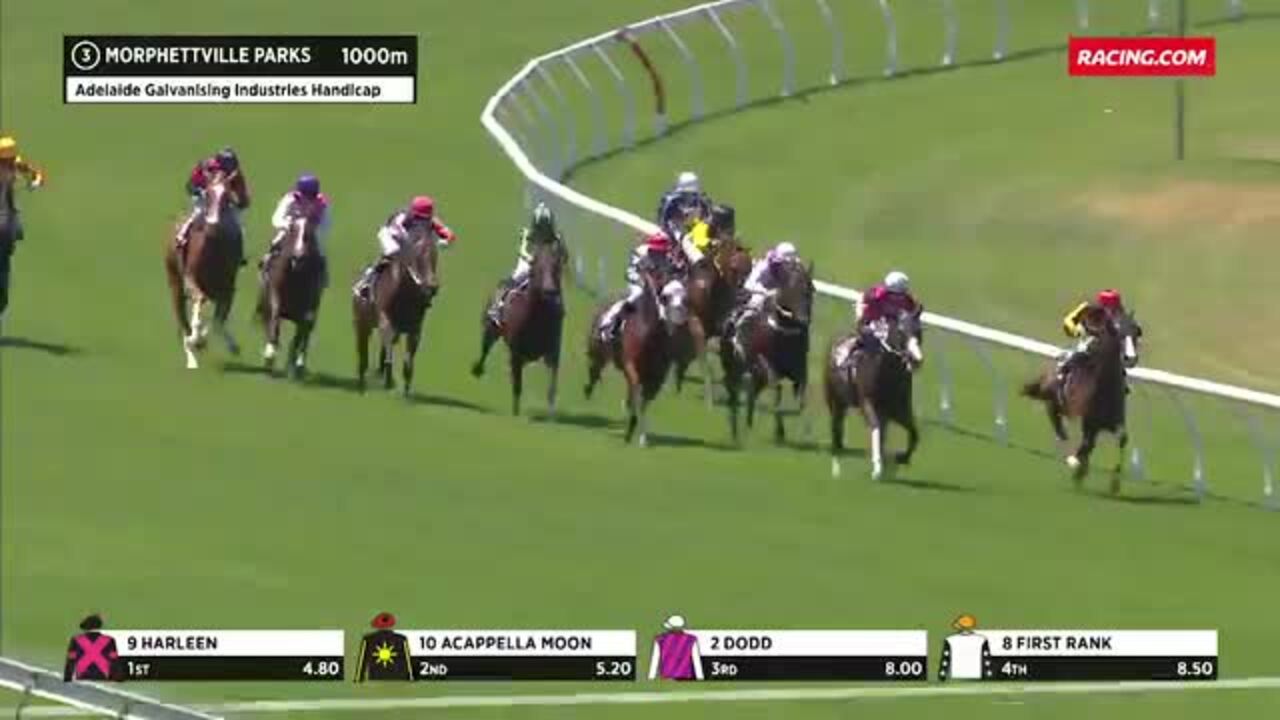 MORPHETTVILLE PARKS RACE 3 FORM GUIDE visual data 3