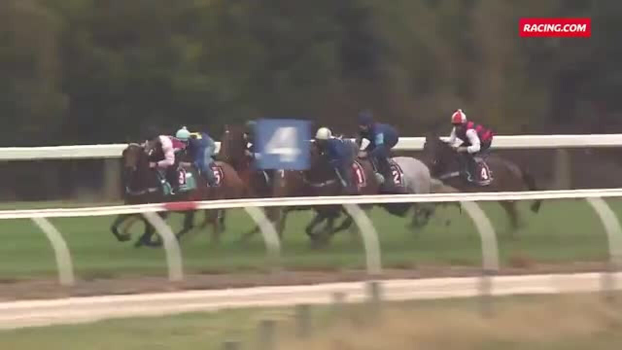 Stony Creek Heat 5 150323