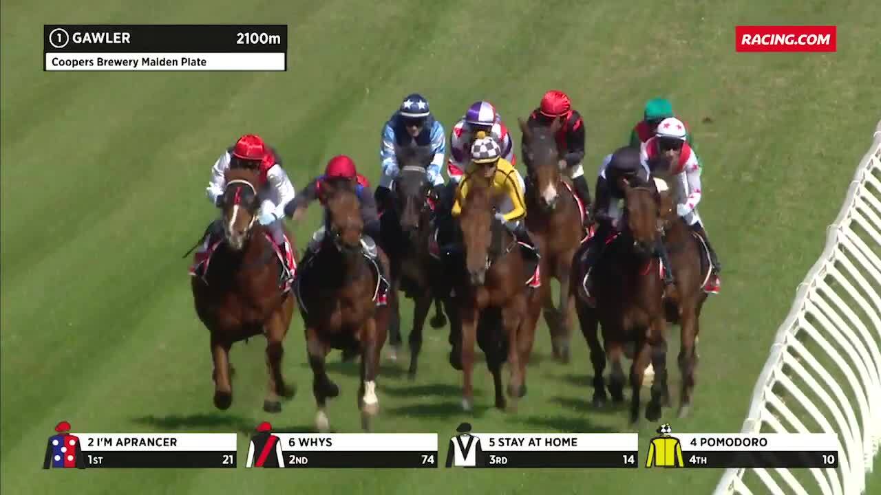 Gawler Race 1 160823