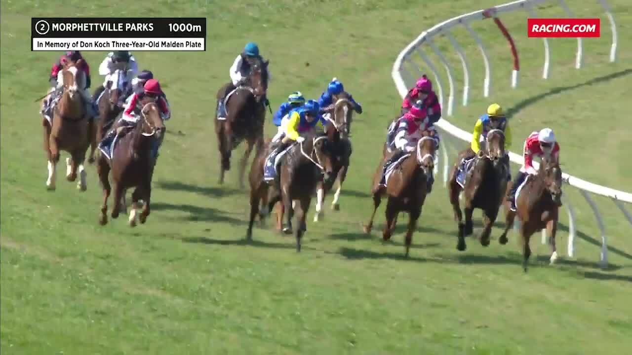 MORPHETTVILLE PARKS RACE 3 FORM GUIDE visual data 6