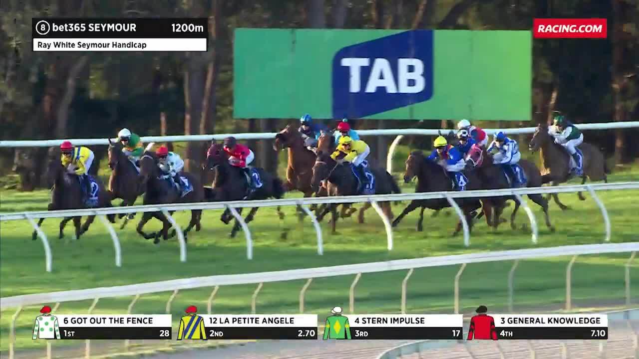 SEYMOUR RACE 1 FORM GUIDE visual data 5