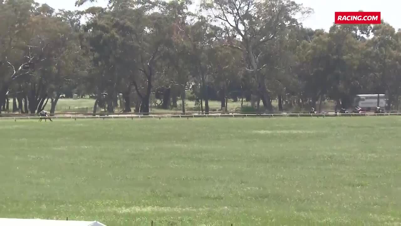 Avoca Heat 10 231023