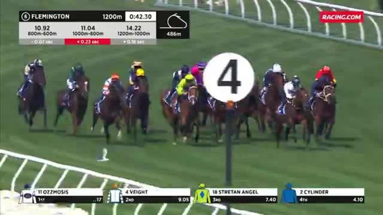Flemington Race 6 41123