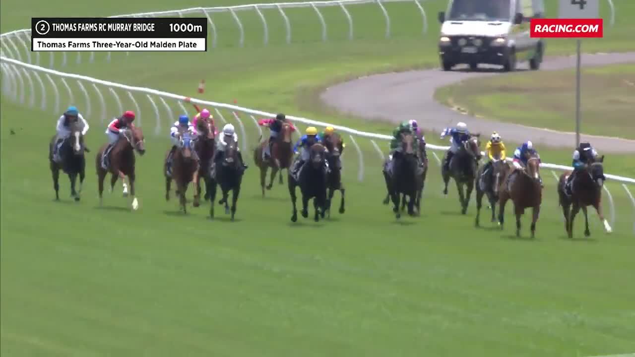 Thomas Farms RC Murray Bridge Race 2 130124