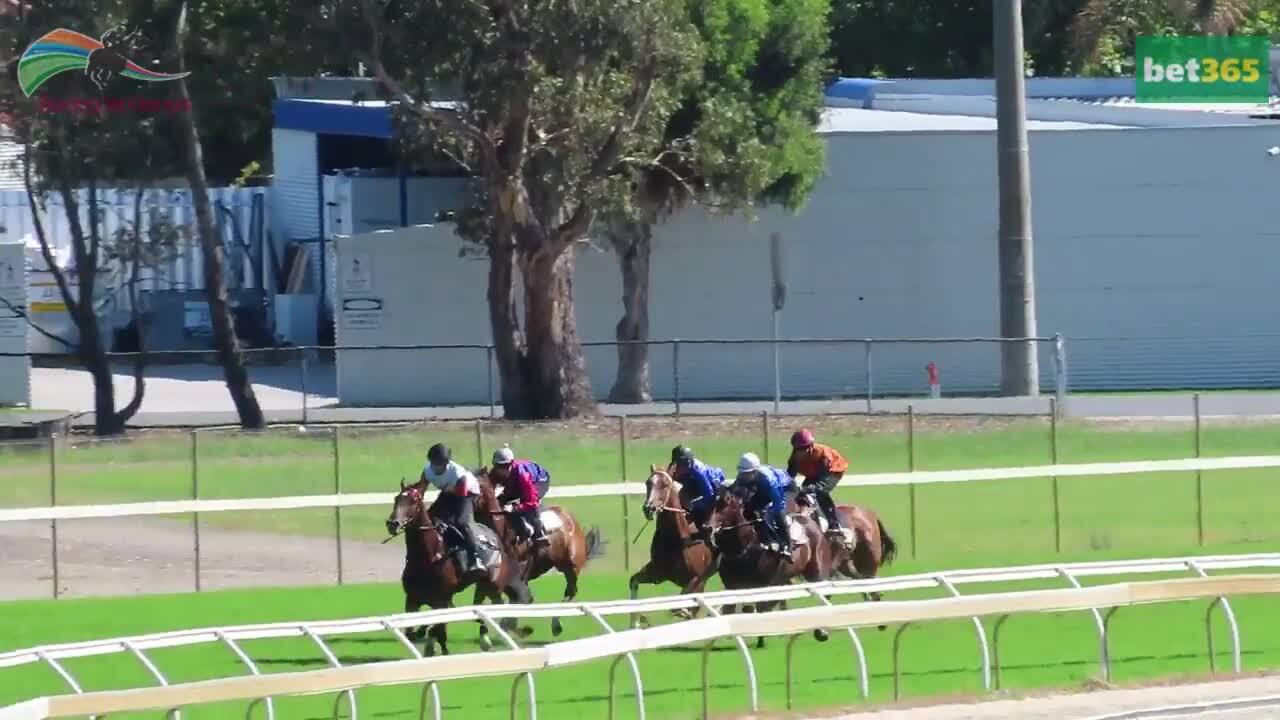 Wodonga Jump Out 6 15012024 | RACING.COM
