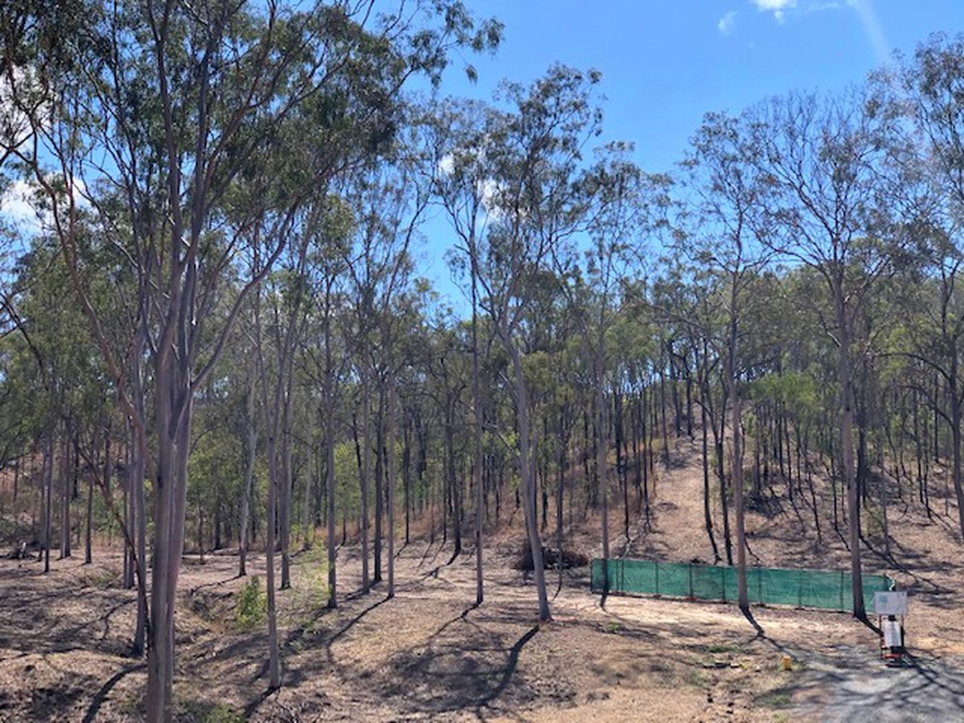 Stewart Road, Beecher QLD 4680 Land For Sale locationsestateagents