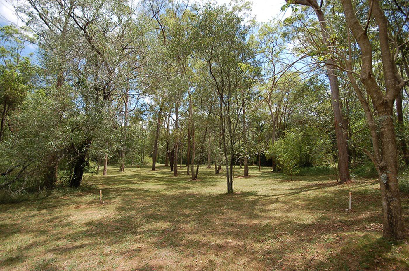 10 Tillapai Grove