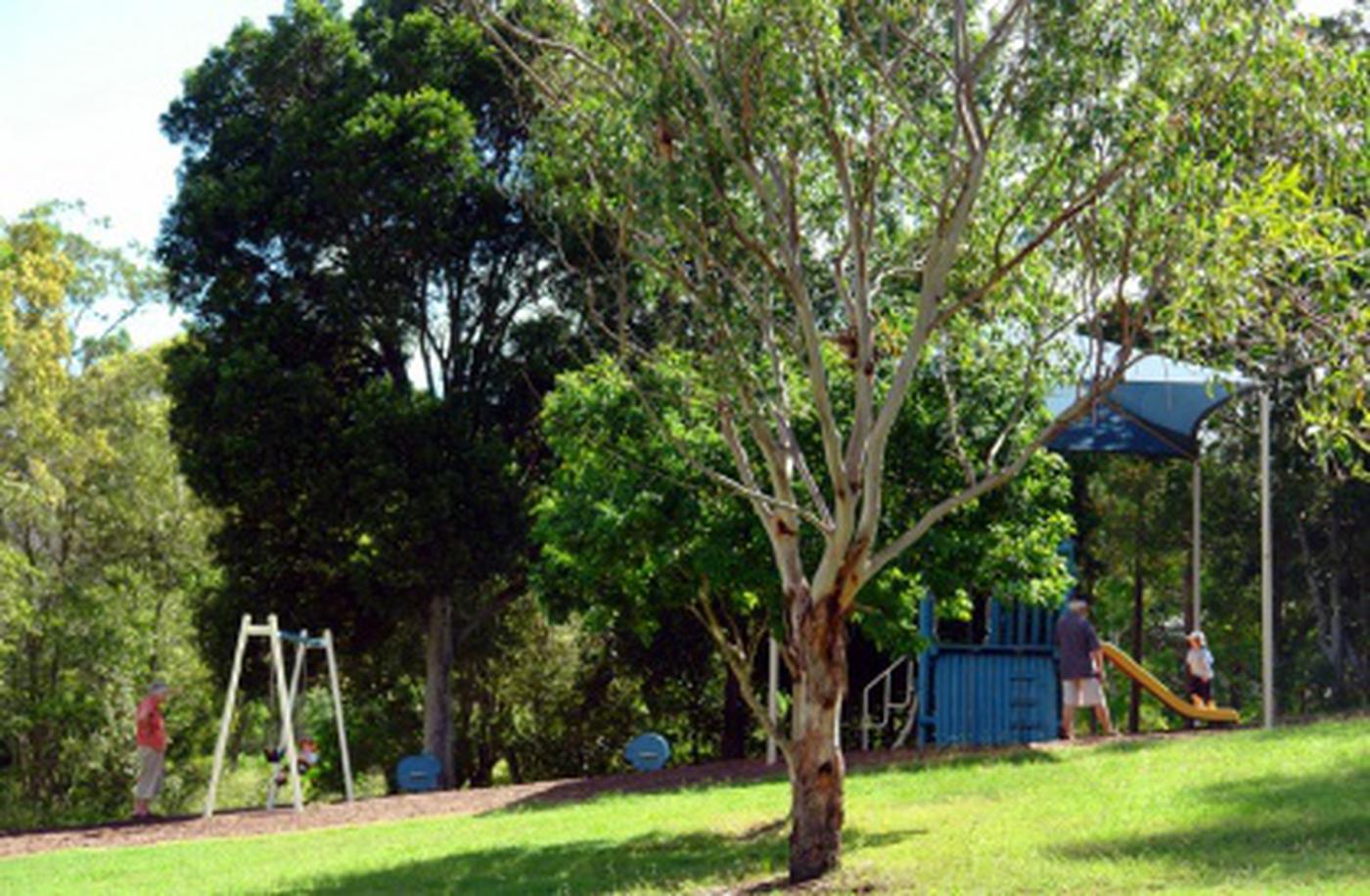 CHAPEL HILL QLD 4069 House Sold