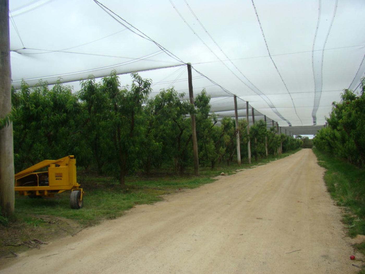 This property is not currently for sale or rent on https://brisbanerealestate.com.au