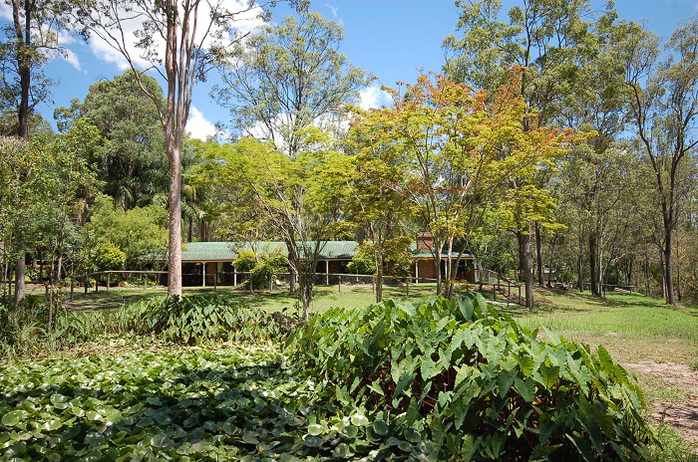 562 Junction Rd, BARELLAN POINT QLD 4306 AcreageSemirural Sold