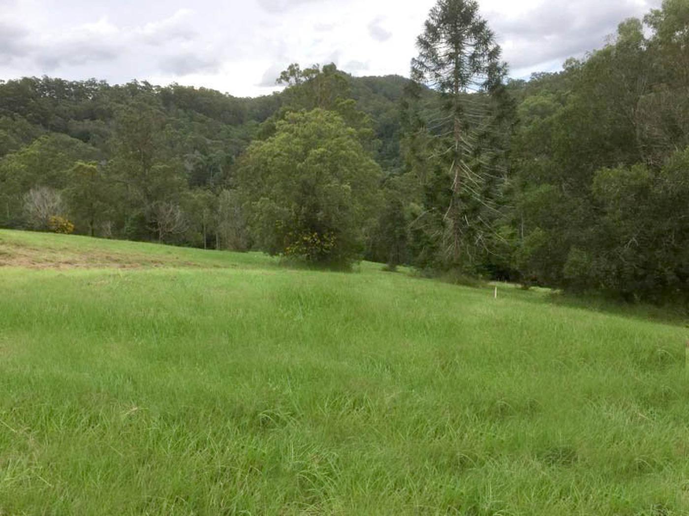 854 Upper Brookfield Road, UPPER BROOKFIELD QLD 4069 Land Sold
