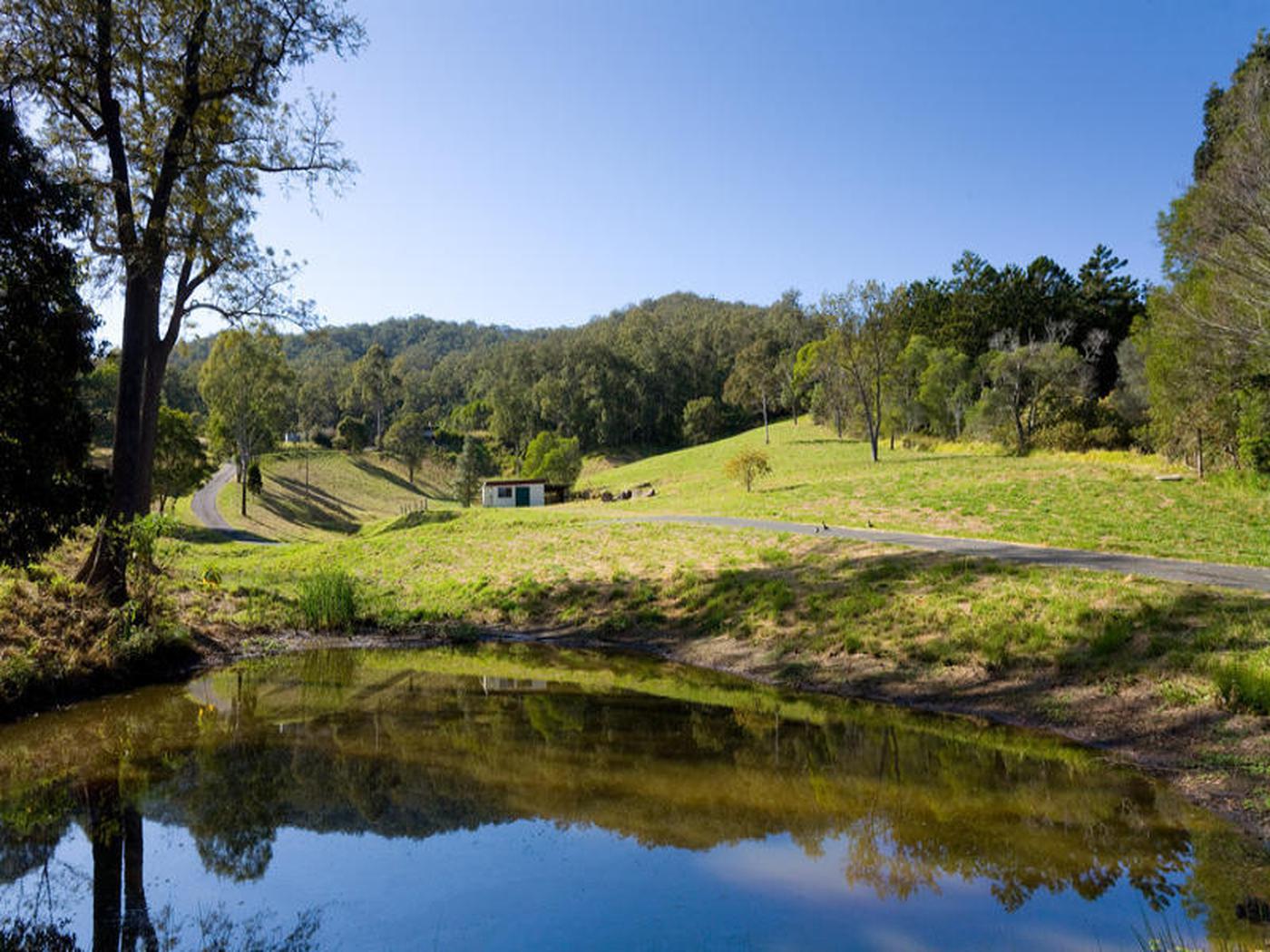 335 Upper Camp Mountain Road