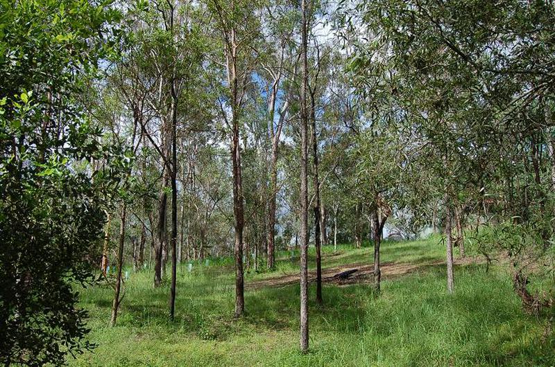 Lot 100 Tillapai Grove, Karana Downs, QLD, 4306