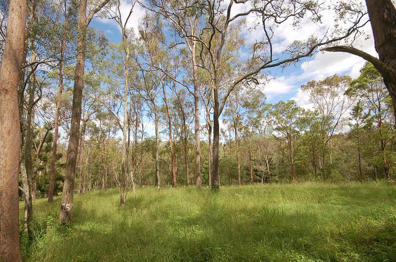 Lot 102 Tillapai Grove, Karana Downs, QLD, 4306