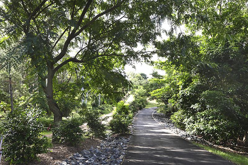 This property is not currently for sale or rent on https://brisbanerealestate.com.au