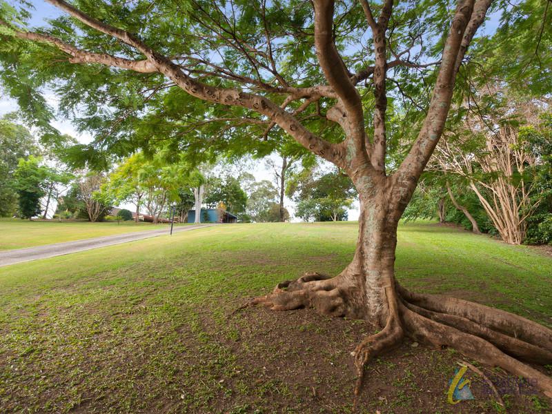 77 Tristania Road