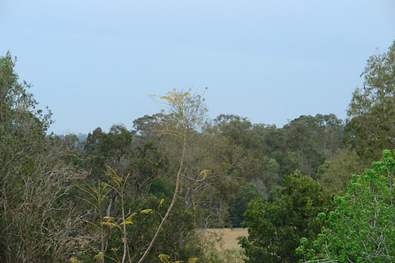 This property is not currently for sale or rent on https://brisbanerealestate.com.au
