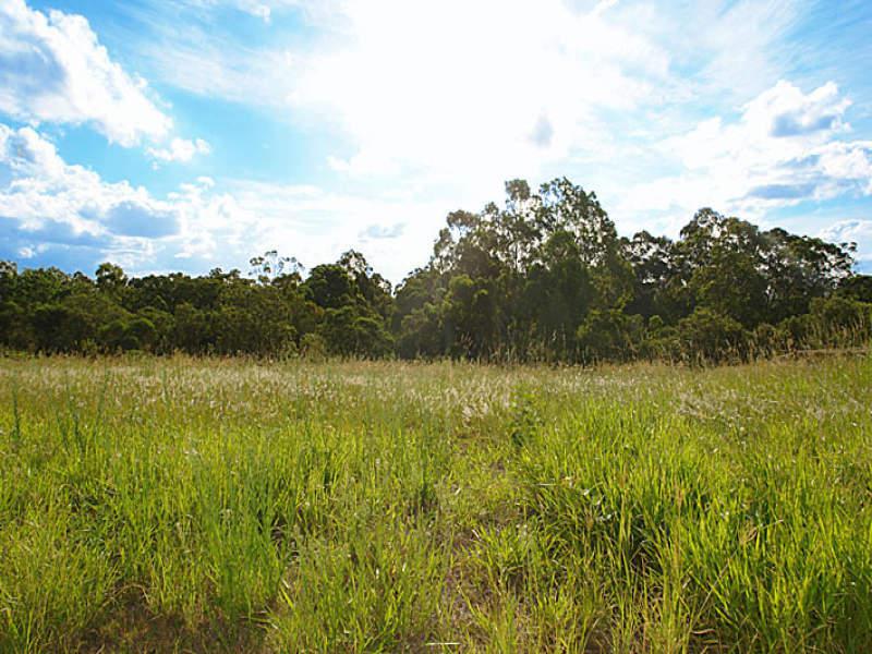 74 Paperbark Circuit