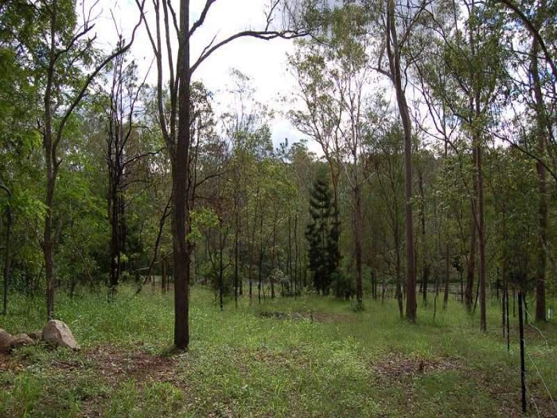 Lot 100 Tillapai Grove