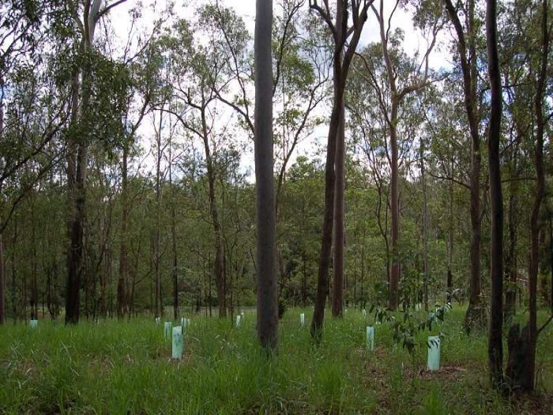Lot 100 Tillapai Grove