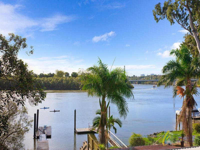91 Brisbane Corso