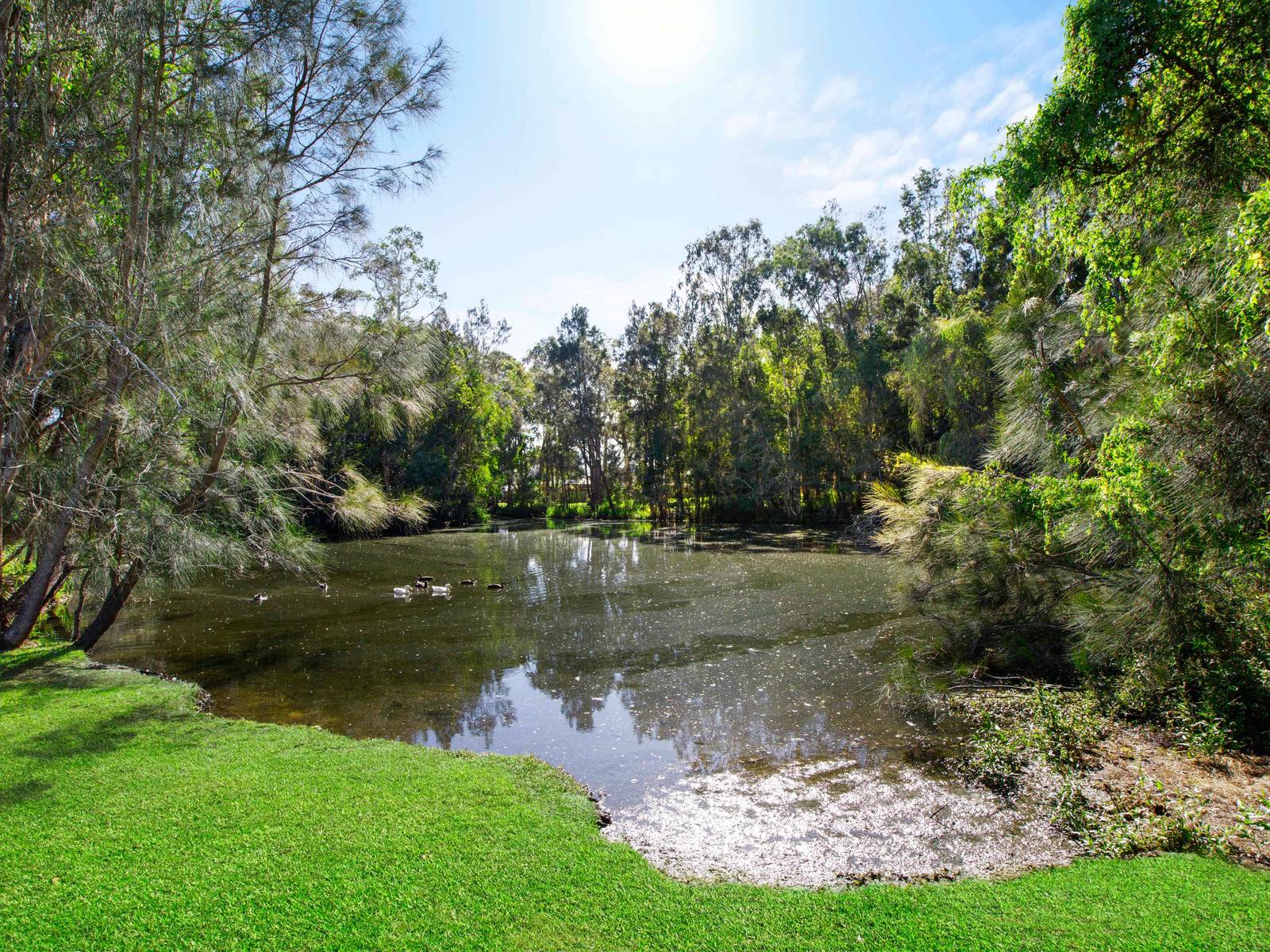 21 Newmarket Grove, Port Macquarie NSW 2444 House Sold