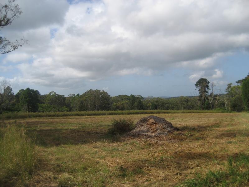 1611 Wisemans Ferry Road, CENTRAL MANGROVE NSW 2250 Property Information