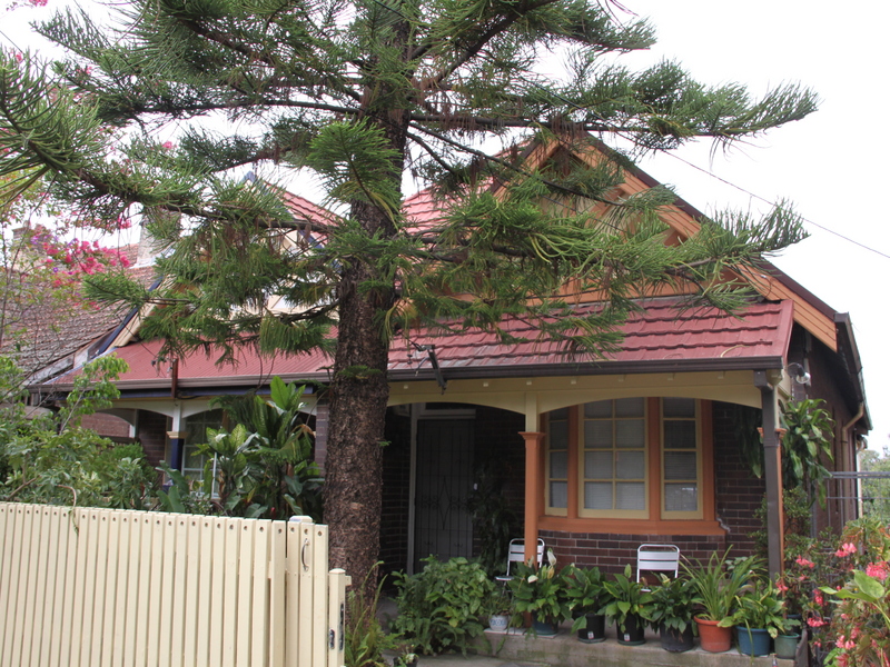 45 Carlton Cr, Summer Hill NSW 2130 Property Information