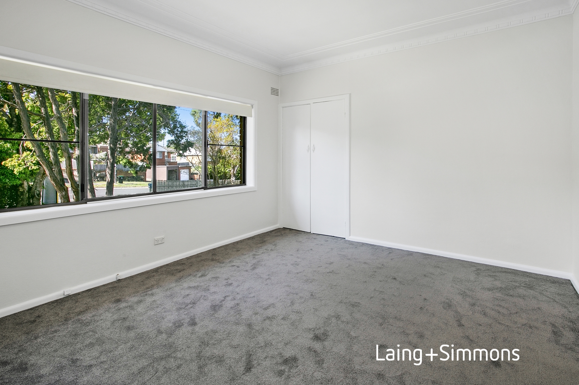 49 Pine Avenue, Brookvale NSW 2100 House Leased