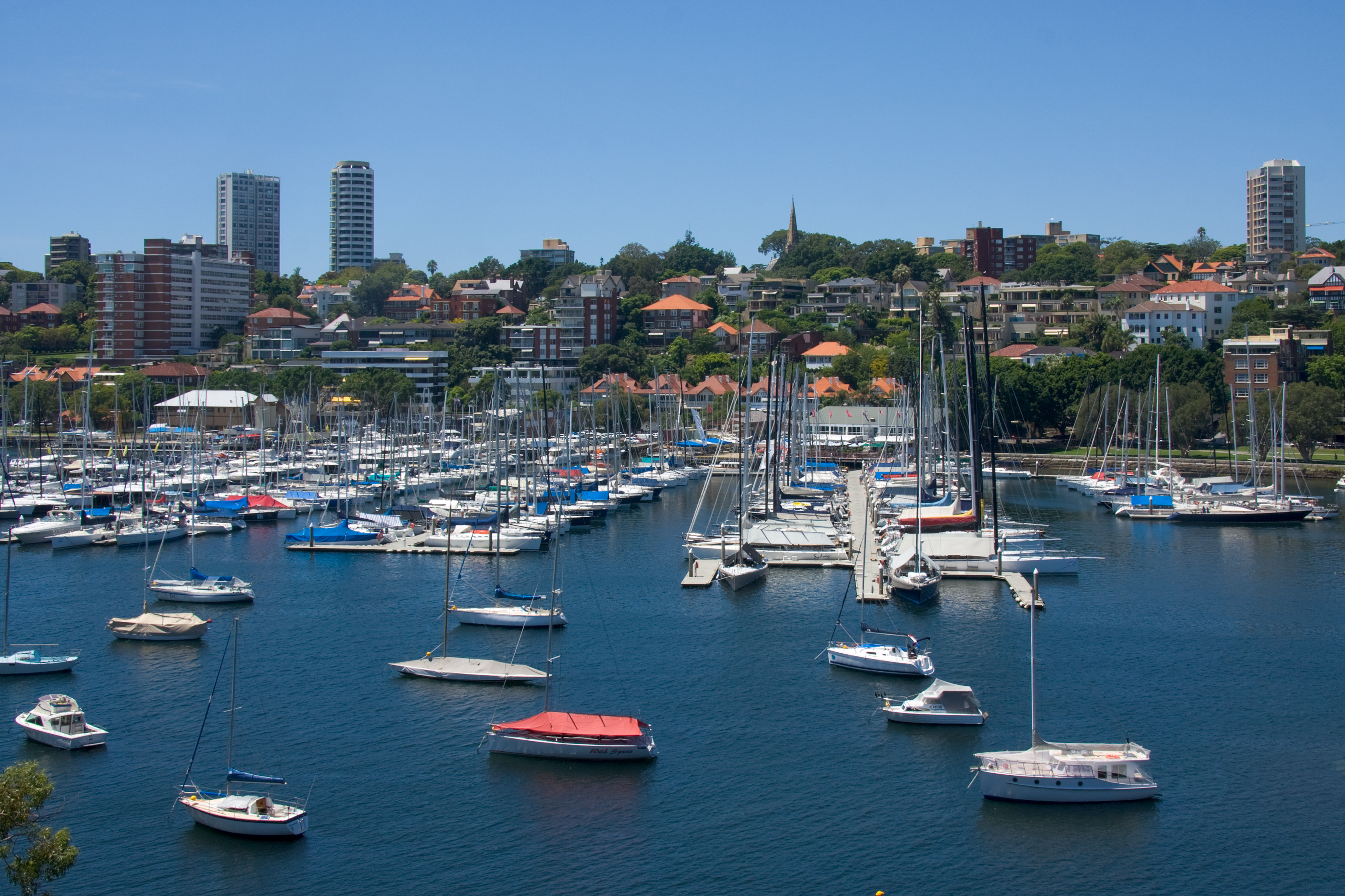 14/9 Clement Street, RUSHCUTTERS BAY NSW 2011 Studio Sold