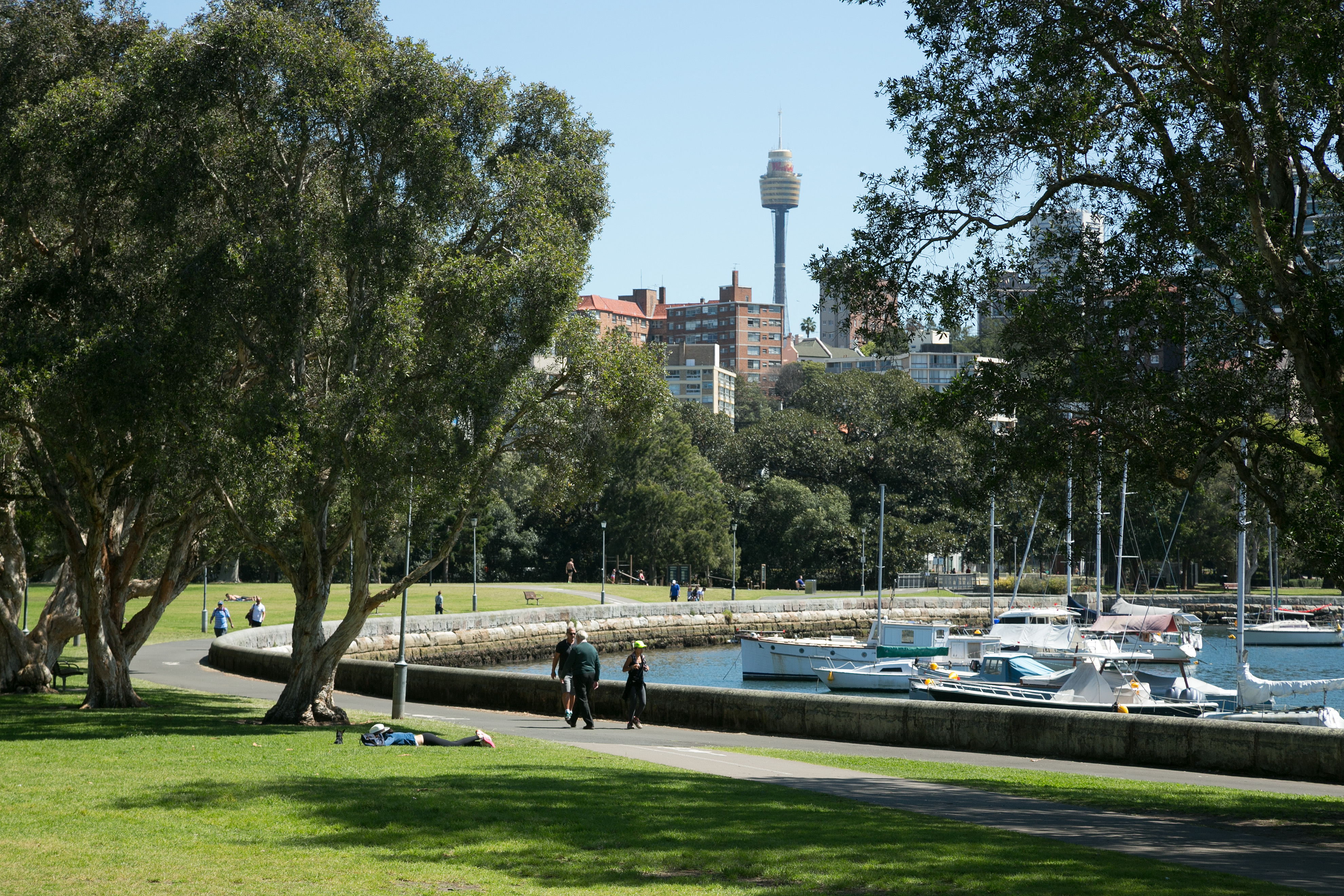 14/9 Clement Street, RUSHCUTTERS BAY NSW 2011 Studio Sold