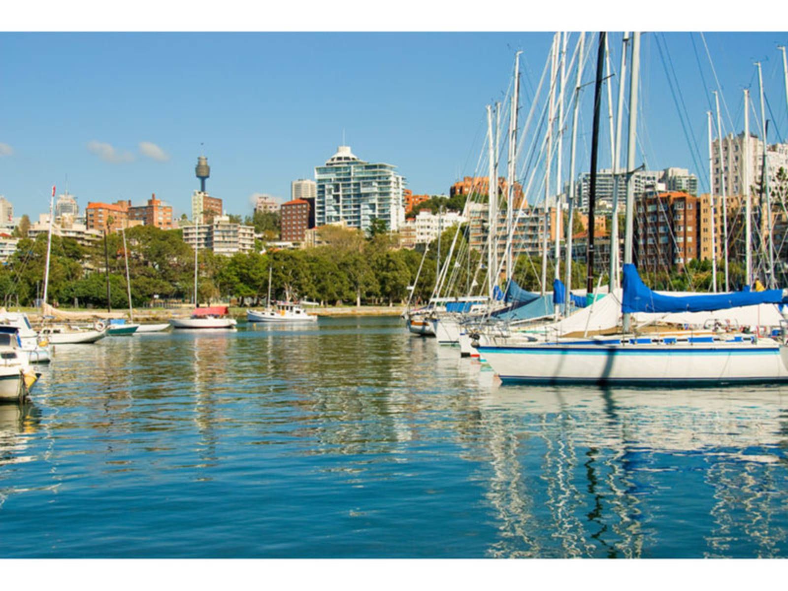 32/66 Bayswater Road, Rushcutters Bay NSW 2011 Property Information