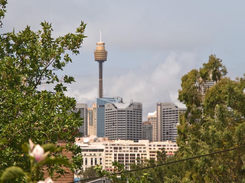 13 Sheehy Street, Glebe