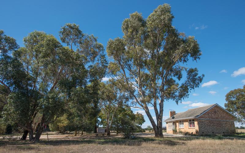 49 Gluepot Road, Morrisons VIC 3334 House Sold