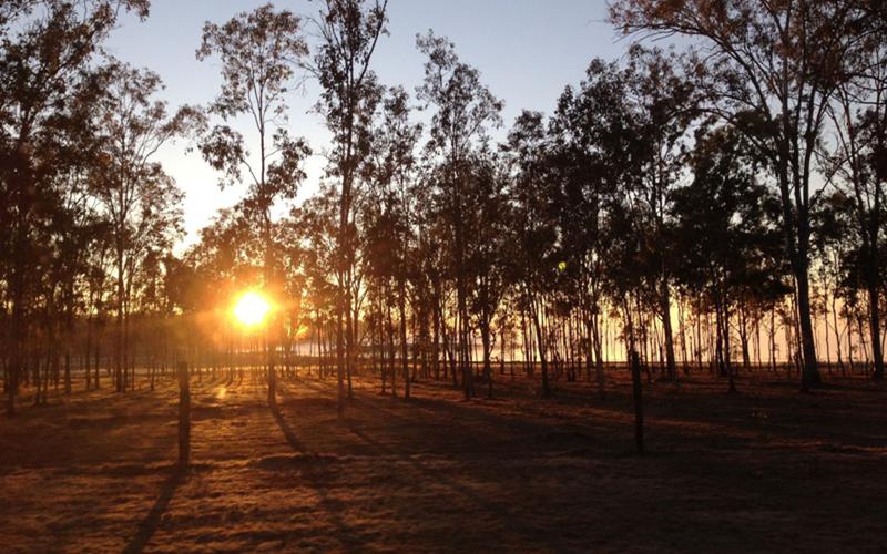 703 Atkinsons Dam Road, ATKINSONS DAM QLD 4311 Property Information