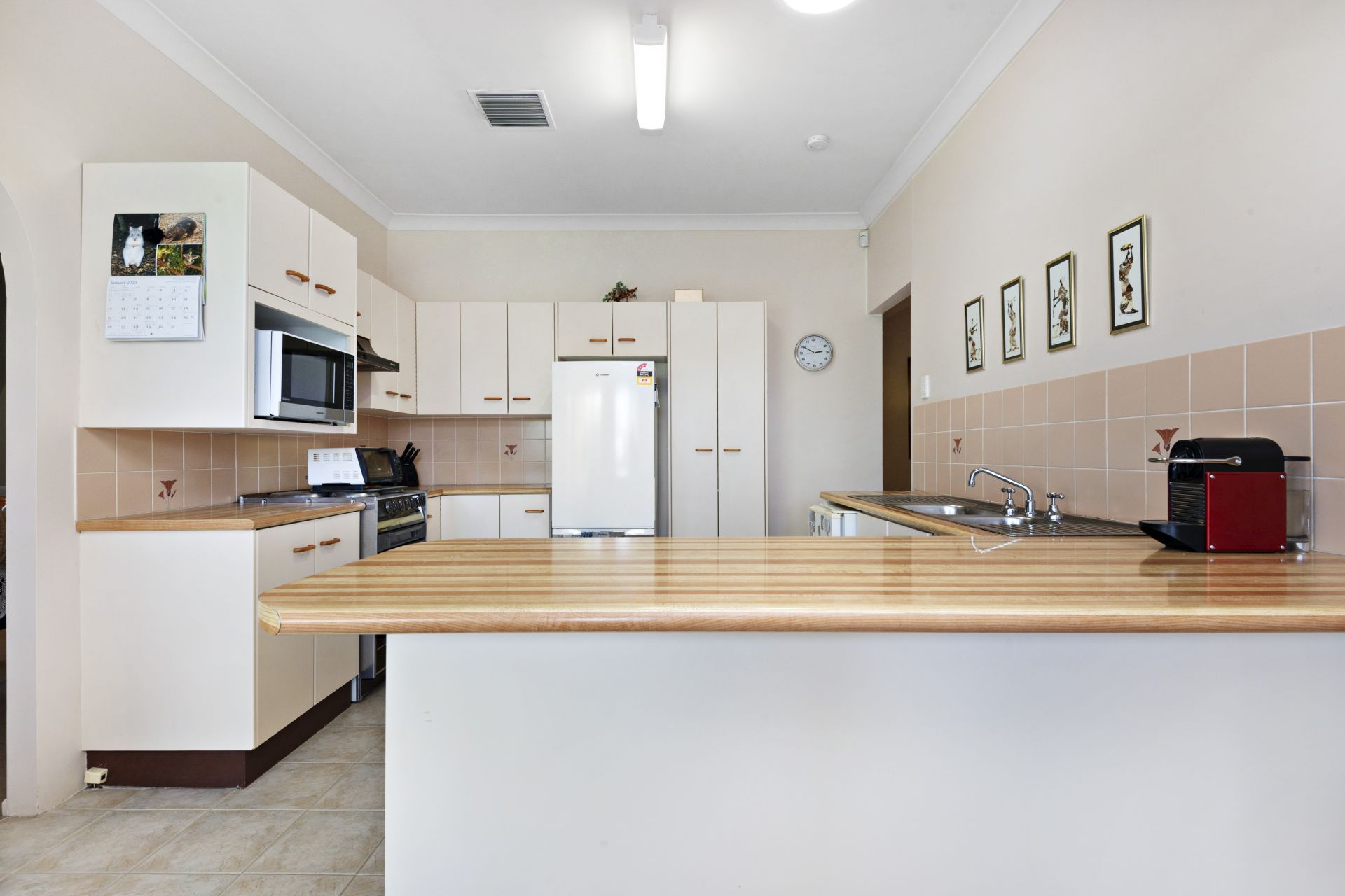 8 Pelerin Avenue, Singleton NSW 2330 Property Information