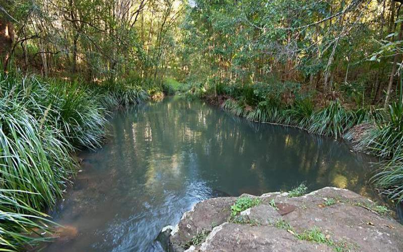 231 Fowlers Lane, BANGALOW NSW 2479 House Sold