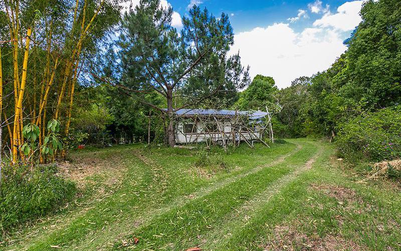 3 Poplar Street, MULLUMBIMBY NSW 2482 House Sold