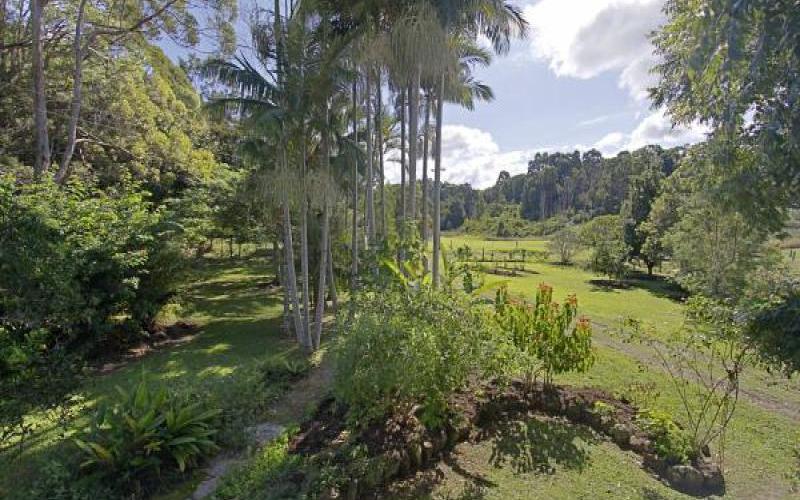 561 Left Bank Road, MULLUMBIMBY NSW 2482 Rural Property Sold