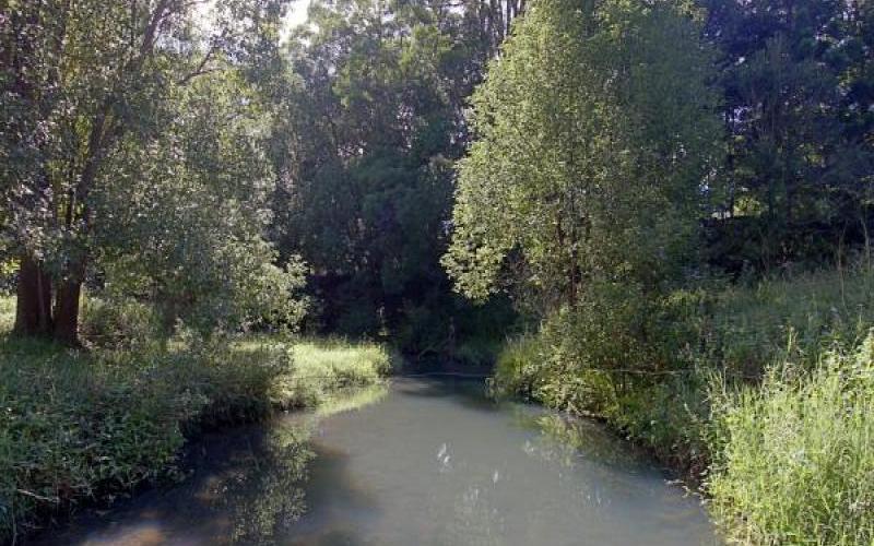 561 Left Bank Road, MULLUMBIMBY NSW 2482 Rural Property Sold