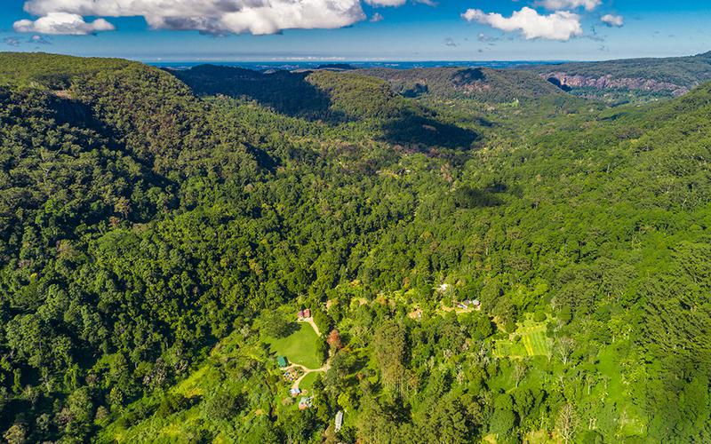 354 Upper Wilsons Creek Road, Upper Wilsons Creek NSW 2482 House Sold